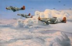 Fighting Red Tails (Tuskegee Edition)